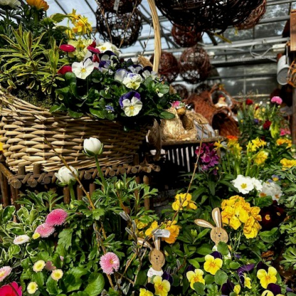 Christelle Seyller - Horticulture et jardinerie à Saverne, Marmoutier et Phalsbourg